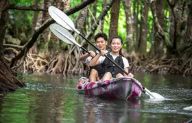 Okinawa Ishigaki Mangrove SUP or Canoe Tour