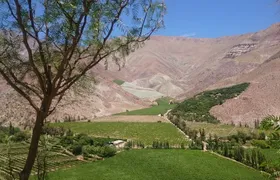 Classic Elqui Valley (Between vineyards and fruit trees)