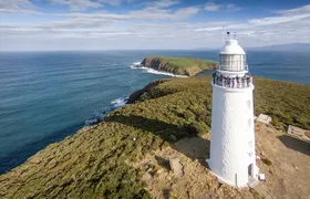 Bruny Island Food, Sightseeing, Guided Lighthouse Tour & Lunch 