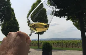 Grape Day out Pfalz to taste cracking Red wines & Riesling