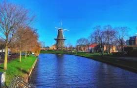 Dutch Windmills & Polder Walking Tour