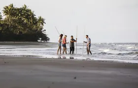 Private full day tour around Daintree and Mossman