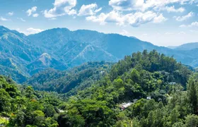 Kingston and Blue Mountains tour with Bob Marley Museum