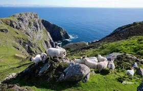 Ring of Kerry & Skellig Ring Private Day Tour
