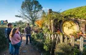 Rotorua to Auckland via Hobbiton and Waitomo