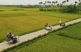 Hoi An Highlights with Sidecar Robinson Club Exclusive Tour