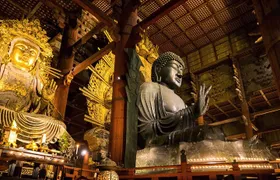 Nara 6hr Private Tour with Government-Licensed Guide