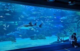 Discounted Entry Ticket for Gwanggyo Aqua Planet (내국인 불가)