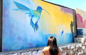 Art and Culture in Todos Santos