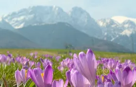 Zakopane and Tatra Mountains day tour from Krakow