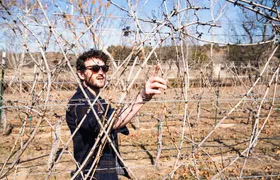 Winemaker Tour & Barrel Tasting