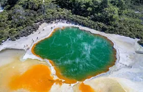 Ex Hamilton TRIPLE DEAL Wai O Tapu Redwood Forest and Blue Spring