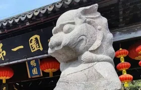 Night Tour to Historic Zhanyuan Garden in Nanjing