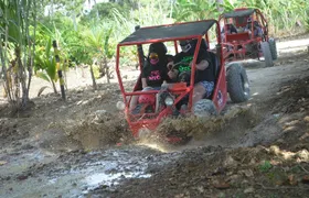 Punta Cana ATV Buggies Adventure from Santo Domingo Tour