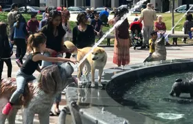 Show me the City! A Small Group Walking Tour of Toronto