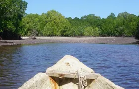Mida Creek Boardwalk and Canoa Ride