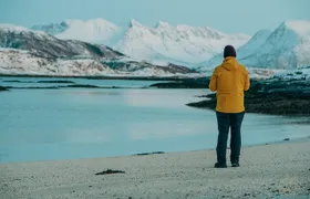 Arctic Fjord Roadtrip with Scenic Picnic from Tromso
