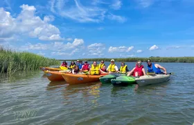 2-Hour Hilton Head Guided Kayak Nature Tour