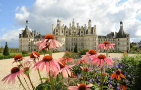 Private Day Trip to Loire Valley with Tastings and Lunch