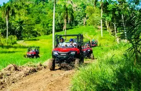 Adventure Bundle: Monkeyland, Ziplines & Buggies Punta Cana