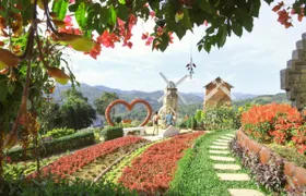 Half-day highland vista tour