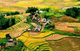 PRIVATE Trekking Sapa Tour 2 Days 1 Night ( Homestay Overnight)