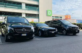 Private Transfer from Billund Airport (BLL) to Aarhus Cruise Port