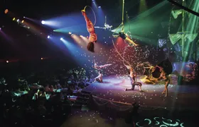 Pirates adventure show with transfer