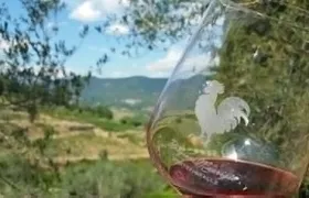 Greve in Chianti Wine Tasting and Winery Tour