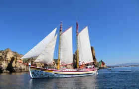 Half-Day Sailing Tour in Baia de Lagos with Lunch