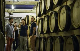 Short day family grower tour and lunch from Reims