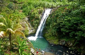 Full-Day Tour: Concord Waterfall, Chocolate Factory, Rum Distillery, Grand Etang