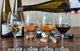 Domaine Fahrer et Fils guided tour with wine tasting