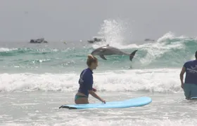 2 Hour Ultimate Learn to Surf Adventure