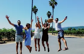 Napa Valley's Best Wine Tour w/ Local Expert