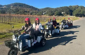 Sonoma Wine Country Electric Trike Tour - 3 hours