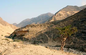 Full-day Salalah explorer, east and west highlights