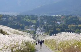Easygoing Nature Walk in Hakone Tour