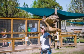 Gulf Shores, Orange Beach Area Multi-Attraction Pass