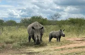 Central and East Tour