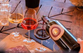 Cesani Wine Experience