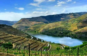 Douro Valley full-day tour with wine tasting and a boat trip