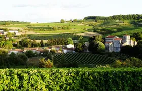 Half-day Guided E-Bike Ride to Discover The Cognac Vineyard