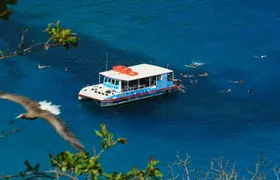 Fernando de Noronha cruise
