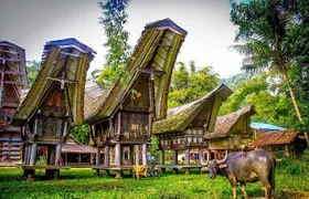 3 Days Tana Toraja from Makassar: Kete Kesu Village, Menhir to Funeral Burial