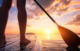 Charleston/Folly Beach Stand up Paddleboard Tour