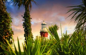 Plymouth Tour App & Game