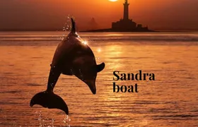 3hours all inclusive Sunset&Dolphin Tour from Medulin on Sandra