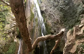 Richtis Waterfall, History, Azoria, OliveTasting, NorthCoast