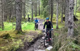 Guided mountain bike tour through the Voss hills